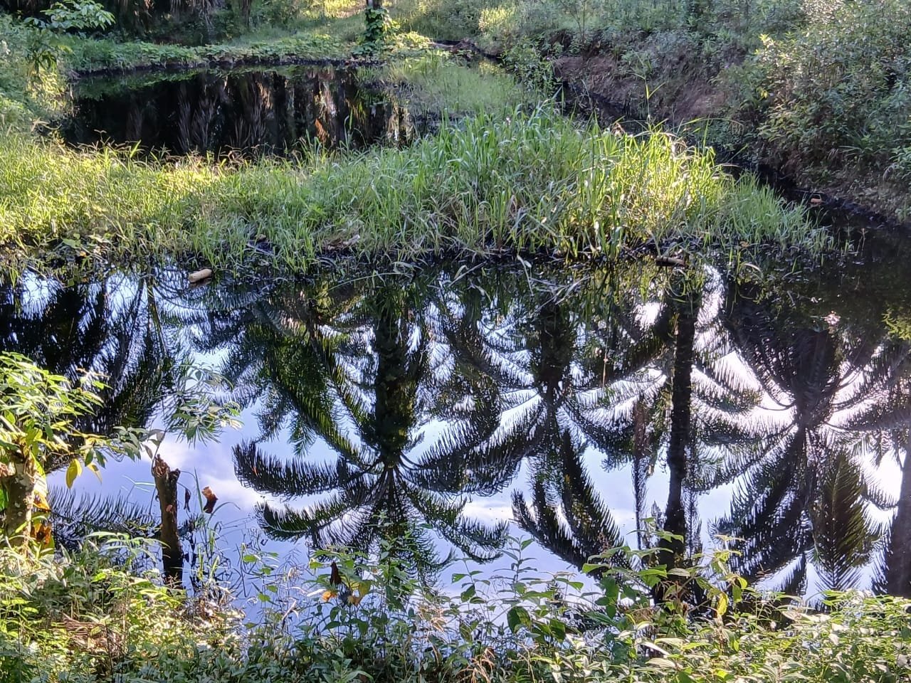 Whatsapp image 2025 10 31 at 20.20.38