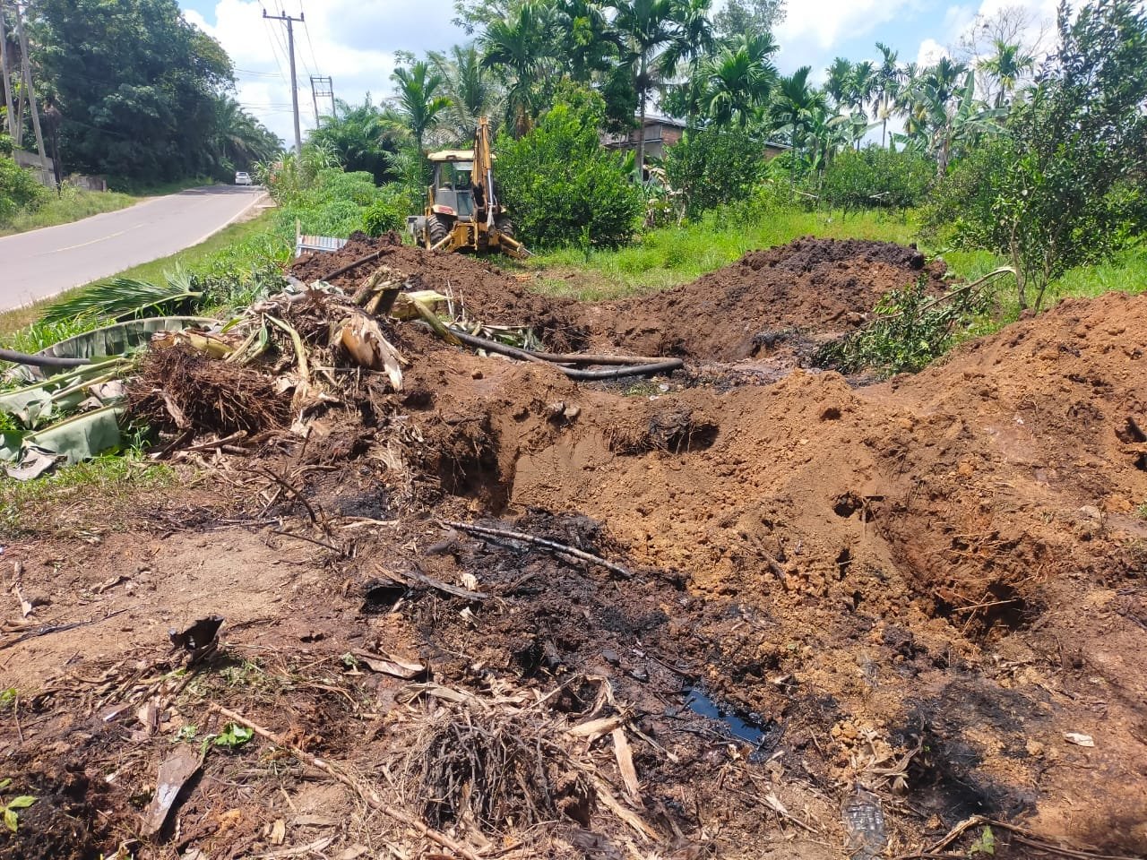 Whatsapp image 2025 10 31 at 20.21.49