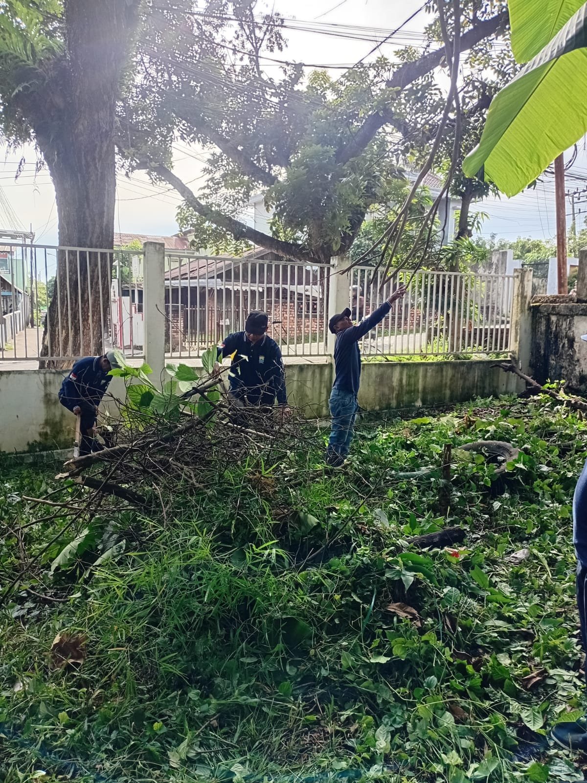 WhatsApp Image 2025 11 07 at 09.42.37