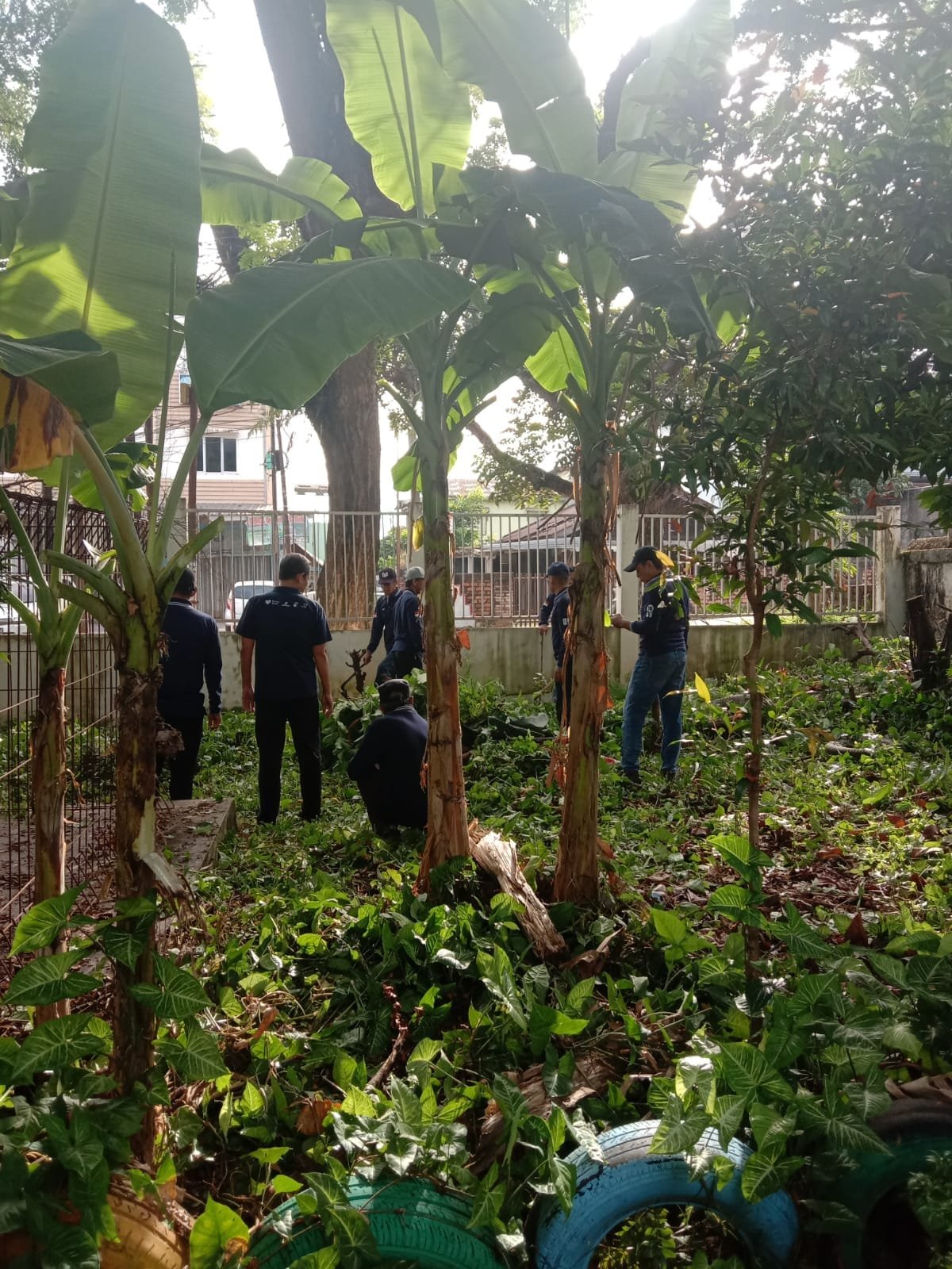 WhatsApp Image 2025 11 07 at 09.45.08