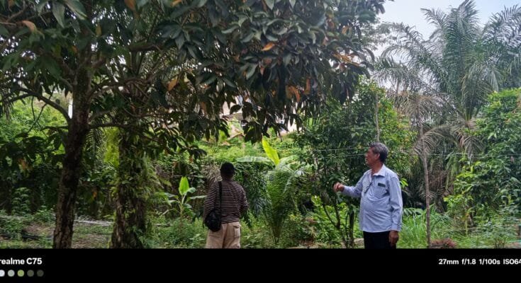 WhatsApp Image 2025 11 07 at 11.18.58