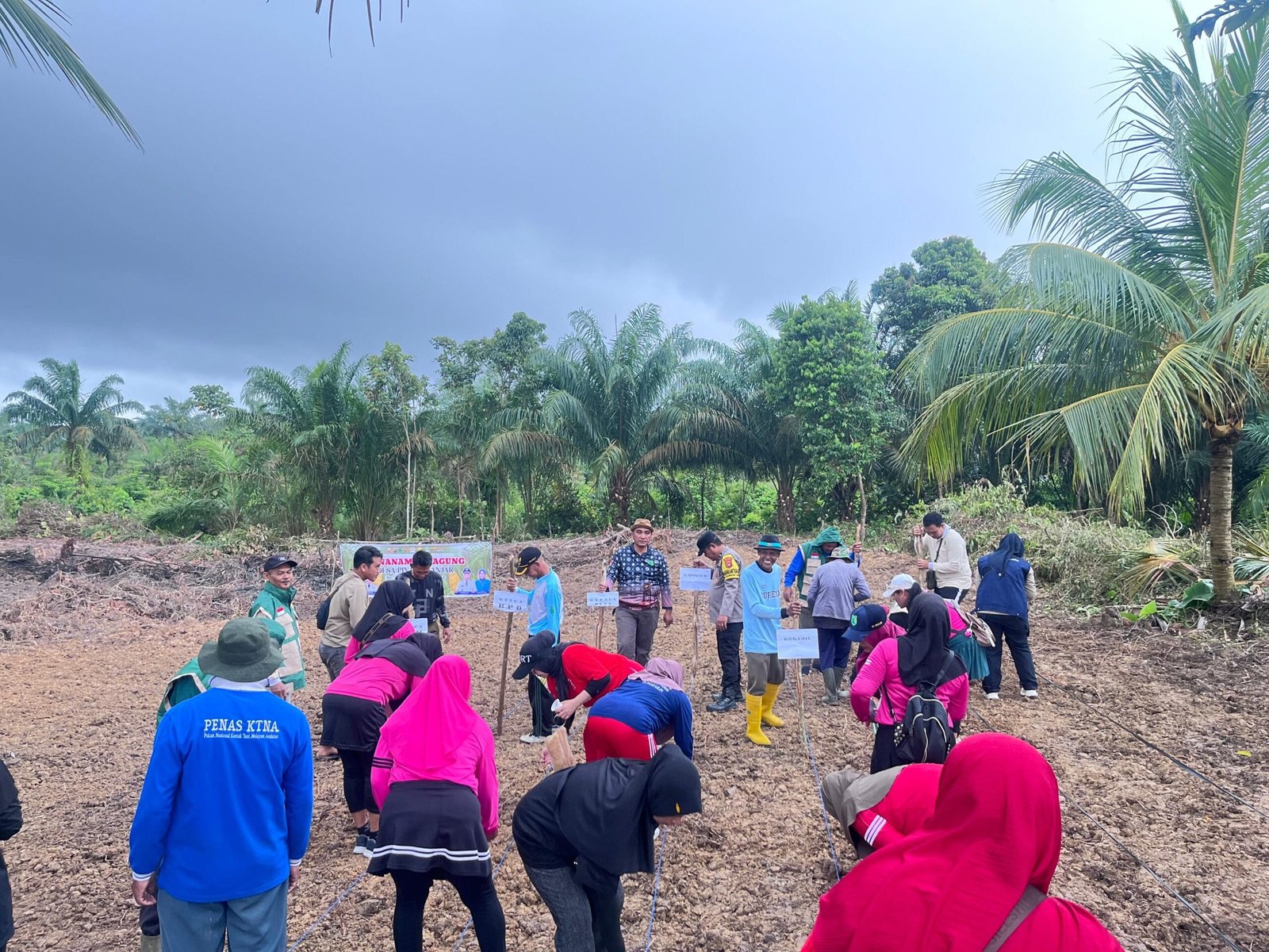 WhatsApp Image 2025 12 12 at 11.55.09