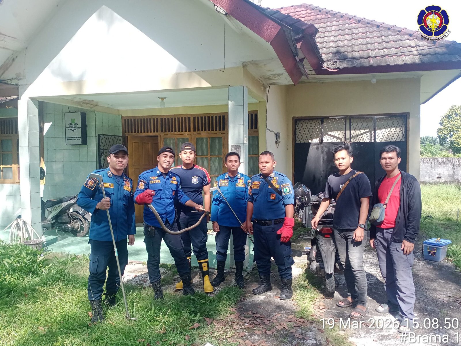 WhatsApp Image 2026 03 20 at 17.08.21