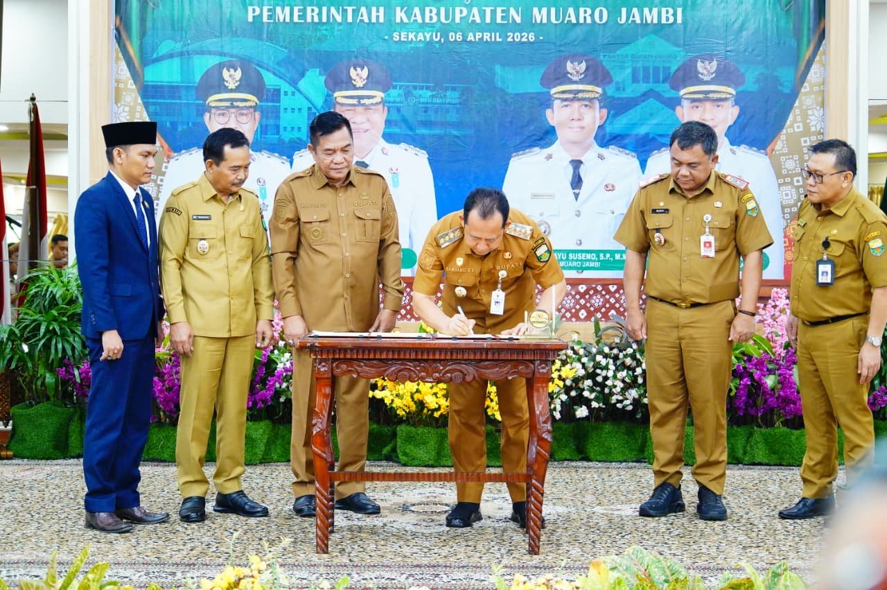 WhatsApp Image 2026 04 06 at 19.03.39