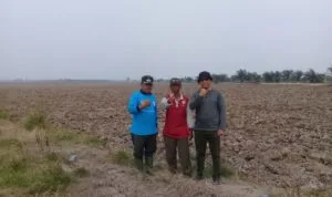 suak tapeh Suak tapeh