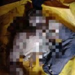 WhatsApp Image 2019 12 09 at 01.04.20(1)