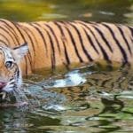 Whatsapp image 2019 12 12 at 15.09.18