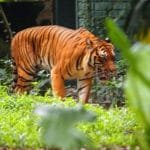 WhatsApp Image 2019-12-14 at 01.28.20 Whatsapp image 2019 12 14 at 01.28.20