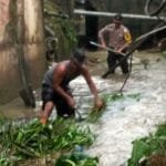 Whatsapp image 2019 12 25 at 04.07.57