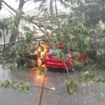 WhatsApp Image 2019-12-27 at 02.51.51 Whatsapp image 2019 12 27 at 02.51.51