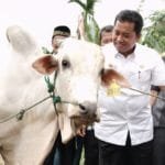 WhatsApp Image 2020 01 02 at 04.22.28