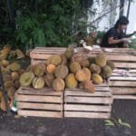 WhatsApp Image 2020 01 21 at 15.23.06