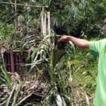 WhatsApp Image 2020 01 22 at 20.03.21