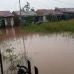 Whatsapp image 2020 02 17 at 23.01.38(1)