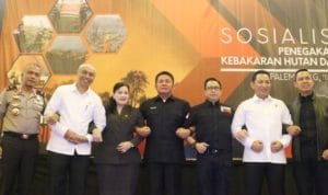 WhatsApp Image 2020 03 10 at 15.33.00