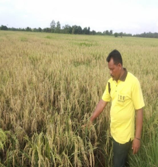 WhatsApp Image 2020 03 30 at 17.42.29