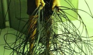 WhatsApp Image 2020 04 13 at 05.37.15