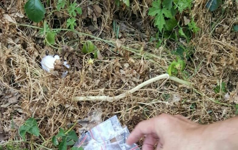 WhatsApp Image 2020 04 26 at 16.26.51