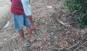 WhatsApp Image 2020 05 01 at 09.16.10