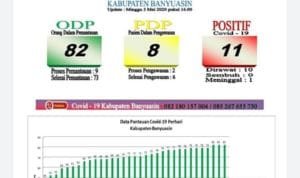 WhatsApp Image 2020 05 05 at 03.53.25