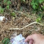 WhatsApp Image 2020-05-10 at 01.28.24 WhatsApp Image 2020 05 10 at 01.28.24