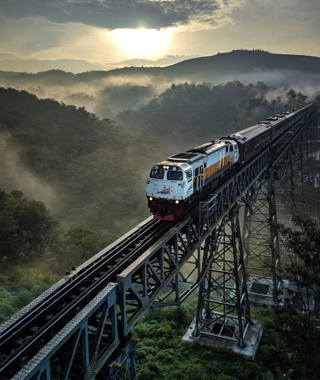 WhatsApp Image 2020 05 11 at 05.53.37