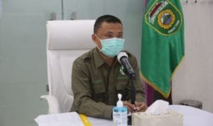 WhatsApp Image 2020-05-15 at 22.15.19 WhatsApp Image 2020 05 15 at 22.15.19