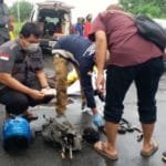 WhatsApp Image 2020 05 23 at 05.16.18