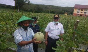 WhatsApp Image 2020 06 03 at 22.22.02