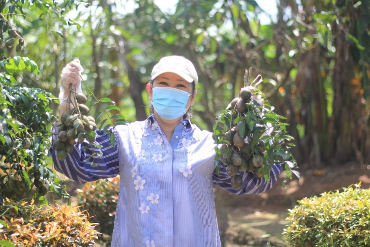 WhatsApp Image 2020-06-09 at 20.59.41 WhatsApp Image 2020 06 09 at 20.59.41