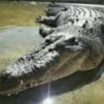 WhatsApp Image 2020 06 10 at 12.21.47 (1)