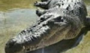 WhatsApp Image 2020 06 10 at 12.21.47 (1)