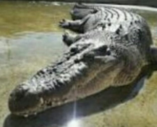 WhatsApp Image 2020-06-10 at 12.21.47 (1) WhatsApp Image 2020 06 10 at 12.21.47 (1)