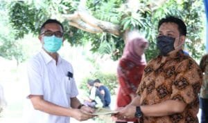 WhatsApp Image 2020 06 12 at 21.57.53 (1)