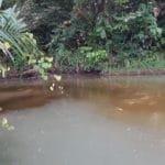 Whatsapp image 2020 07 02 at 14.13.43 (2)