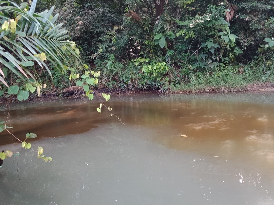 WhatsApp Image 2020-07-02 at 14.13.43 (2) Whatsapp image 2020 07 02 at 14.13.43 (2)