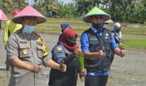 WhatsApp Image 2020 07 10 at 06.26.15