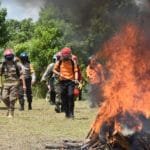 WhatsApp Image 2020 07 22 at 20.48.45