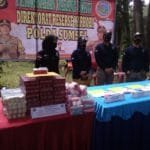 WhatsApp Image 2020-07-24 at 20.31.11 WhatsApp Image 2020 07 24 at 20.31.11