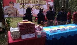 WhatsApp Image 2020 07 24 at 20.31.11