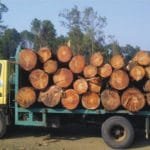 WhatsApp Image 2020-07-25 at 06.16.21 WhatsApp Image 2020 07 25 at 06.16.21