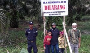 WhatsApp Image 2020 07 26 at 18.01.25