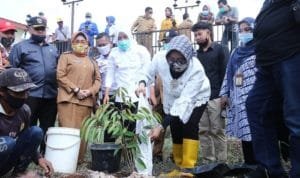 WhatsApp Image 2020 07 29 at 10.59.00 (1)