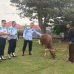 WhatsApp Image 2020-07-30 at 15.59.03 WhatsApp Image 2020 07 30 at 15.59.03