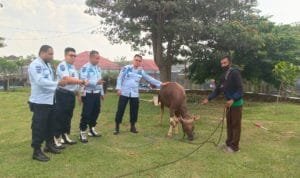 WhatsApp Image 2020 07 30 at 15.59.03