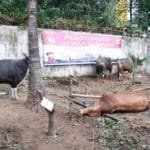 WhatsApp Image 2020-07-31 at 15.14.27 WhatsApp Image 2020 07 31 at 15.14.27