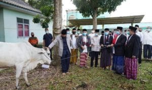 WhatsApp Image 2020 07 31 at 21.36.48