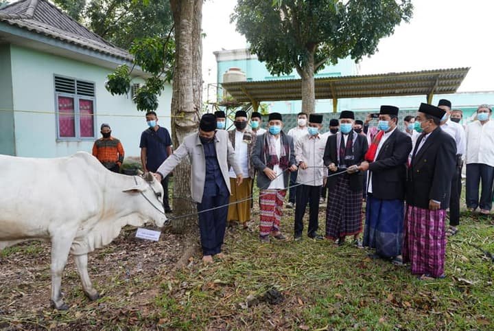 WhatsApp Image 2020 07 31 at 21.36.48