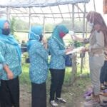 Whatsapp image 2020 08 03 at 14.37.11 (1)