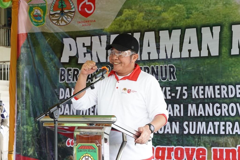 WhatsApp Image 2020 08 03 at 19.39.39